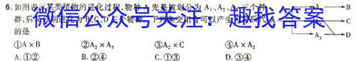 河南省2023-2024学年第二学期阶段性质量评估试卷（九年级）数学