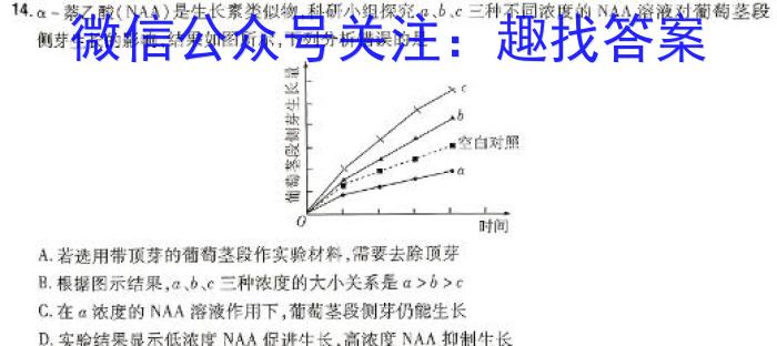 安徽省2023-2024学年下学期九年级教学评价二（期中）生物学试题答案