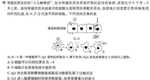 2024年邵阳市高二联考试题卷生物