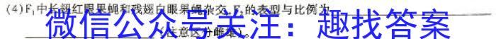 广西省高二年级2024年春季学期入学联合检测卷（2月）英语