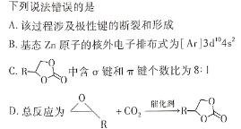 1安徽省泗县2023-2024学年度第二学期七年级期中质量检测化学试卷答案