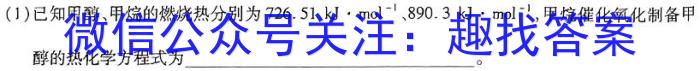 瓜州县第一中学2023-2024学年度高三第一学期期末考试（9126C）数学