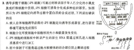 2024年陕西省初中学业水平适应性联考（一）生物学