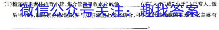 安徽省埇桥区教育集团2023-2024学年度第一学期八年级期末质量检测数学