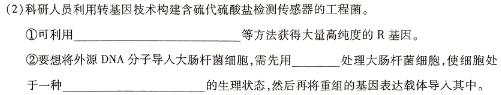 广西2024年春季期高中二年级期中教学质量检测(24-458B)数学.考卷答案