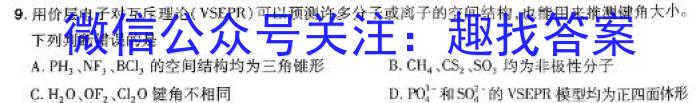 【精品】2024年河北省初中毕业生升学文化课模拟测评（九）化学