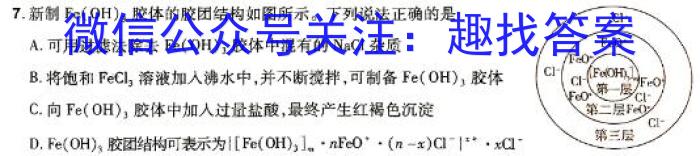 2023-2024学年高三试卷1月百万联考(汽车)数学