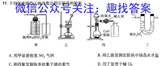 2024年普通高等学校招生全国统一考试仿真模拟卷(T8联盟)(一)1数学