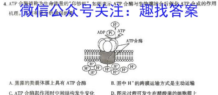 百师联盟2024届高三二轮复习联考(二)新教材生物学试题答案