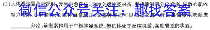 河北省2023-2024学年高二下质检联盟第一次月考(24-369B)数学