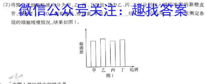 江西省全区2024年初中学业水平适应性考试（六）数学