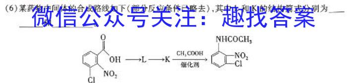 陕西省2024届九年级仿真模拟示范卷（一）数学