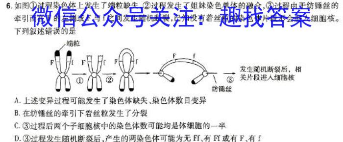 安徽省埇桥区教育集团2023-2024学年度第一学期八年级期末质量检测生物学试题答案