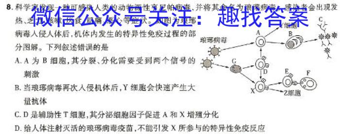 天一大联考 2024年普通高等学校招生全国统一考试预测卷(5月)生物学试题答案