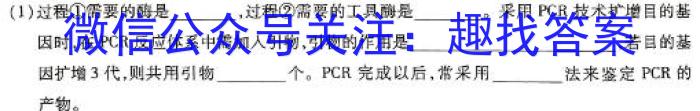 河北省2023-2024学年第一学期八年级期末教学质量监测(CZ58b)数学