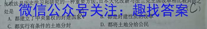 2024年河南省九年级第七届名校联盟考试历史试卷答案