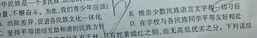 【精品】2024年河南省普通高中招生考试模拟试卷(密卷一)思想政治