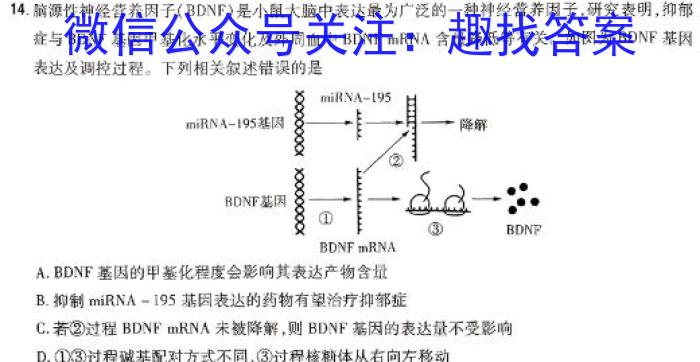 启光教育2024年普通高等学校招生全国统一考试(2024.3)生物学试题答案