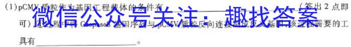 河南省2023-2024学年第二学期阶段性质量评估试卷（九年级）数学h