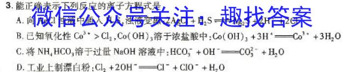 文博志鸿 2024-2025学年七年级第一学期期中教学质量检测数学