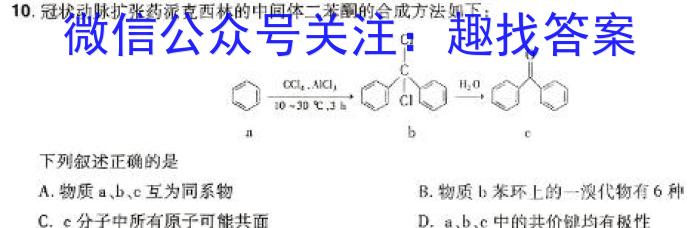 天一大联考 河南省2025届高三年级调研考试数学