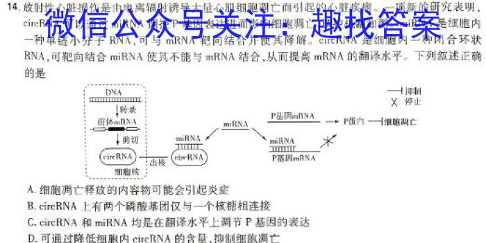 湖南省邵阳市2024届高三上学期期末考试生物学试题答案