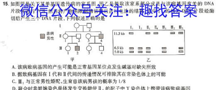 安溪一中、养正中学、惠安一中、泉州实验中学2024年高三年高考模拟训练生物学试题答案