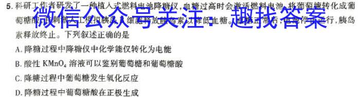 江西省宜春市高安市2023-2024学年度上学期九年级期末质量监测数学