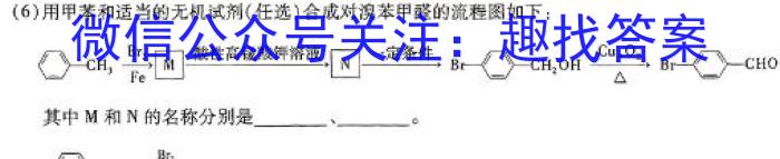 2024年浙江省“山海联盟”初中学业水平考试模拟卷（二）化学