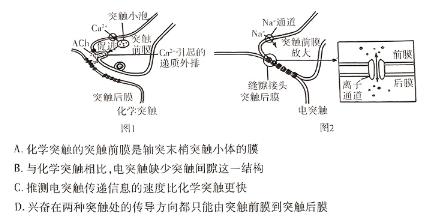 陕西省2024年普通高等学校招生全国统一考试模拟检测(三)生物