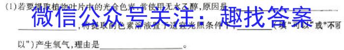 2024年河北省初中毕业生升学文化课模拟考试(一)数学h