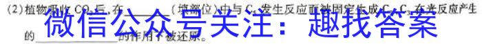 安徽省2023-2024学年度九年级学习评价生物学试题答案