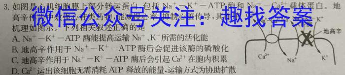 四川省树德中学高2021级高三下期4月测试数学h