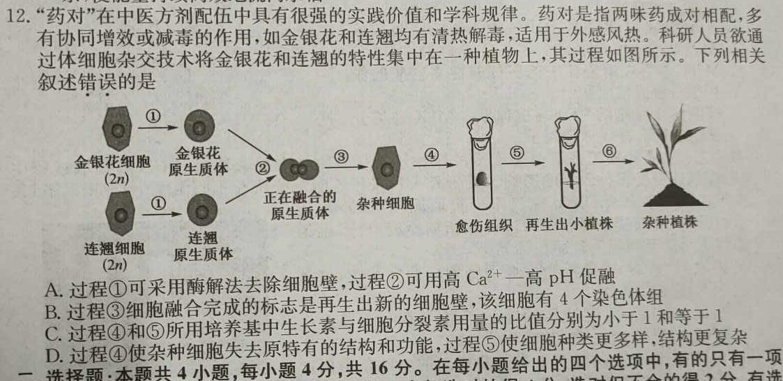 黄冈市2025届高三年级上学期九月调考生物