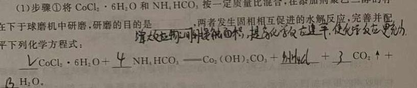 【热荐】河南省24届九年级综合素养质量调研（1月）化学