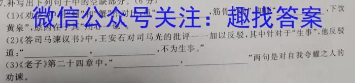 新向标教育 淘金卷2024年普通高等学校招生考试模拟金卷(二)2语文