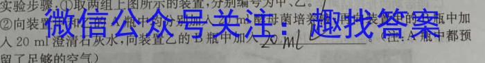 云南省普洱市2024年5月高中毕业生复习统一检测数学