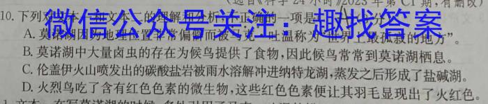 衡水金卷先享题·月考卷 2023-2024学年度下学期高二年级一调考试语文