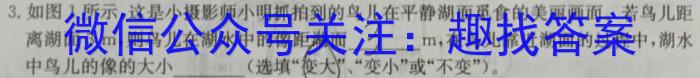 厚德诚品 湖南省2024年高考冲刺试卷(一)物理