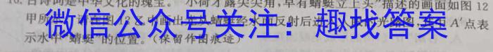 江西省2024年初中学业水平考试模拟(一)f物理