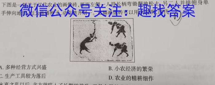 安徽省2023-2024学年第二学期八年级（下）期末考试&政治