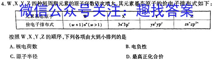 2024届衡水金卷 高三3月大联考(新教材)数学