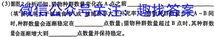 湖北省2024届高中毕业生四月模拟考试数学