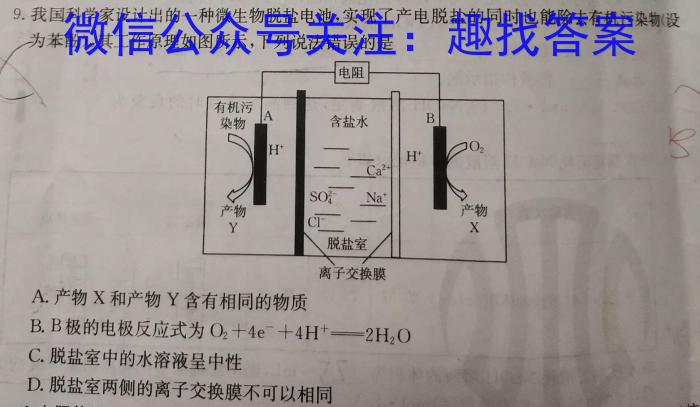 31号卷 A10联盟2024年高考原创信息卷(五)5化学试题