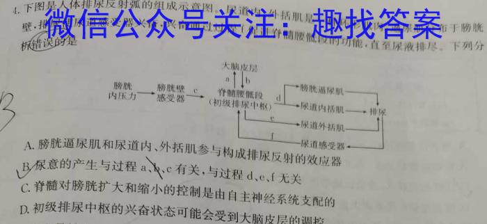 广东省部分学校2023-2024学年第二学期高二年级阶段性测试（4月）数学