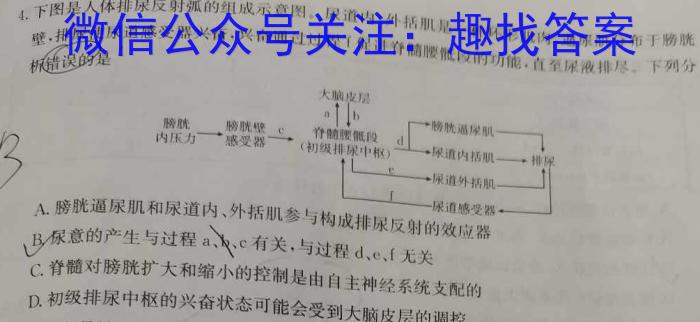 江西省2024届九年级第七次阶段适应性评估［PGZX］数学