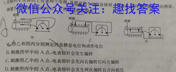 2024届四川省高三诊断性考试(四)(4月卷A)生物学试题答案