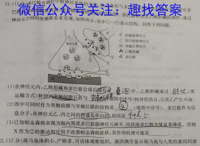 安徽省2024年高三高考适应性联考(243636D)生物