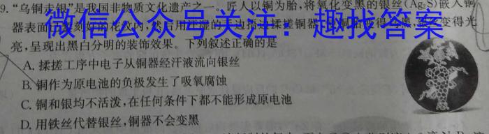 九师联盟 2023-2024学年江西高一期末教学质量检测数学