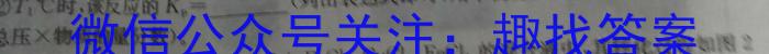 【精品】2023~2024学年第二学期安徽县中联盟高二3月联考(4331B)化学